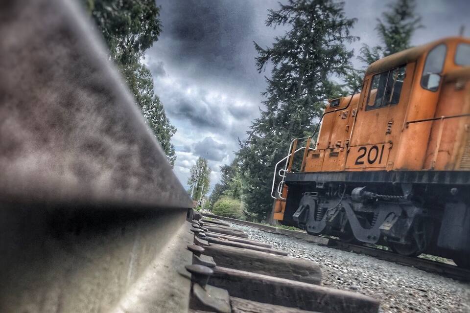 Un treno con il numero 201 su un binario circondato da alberi.
