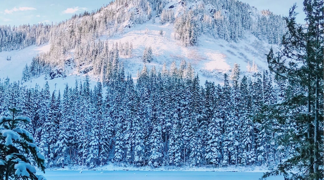 Winter wonderland at Annette Lake.
