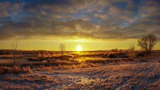 ทอร์นตัน