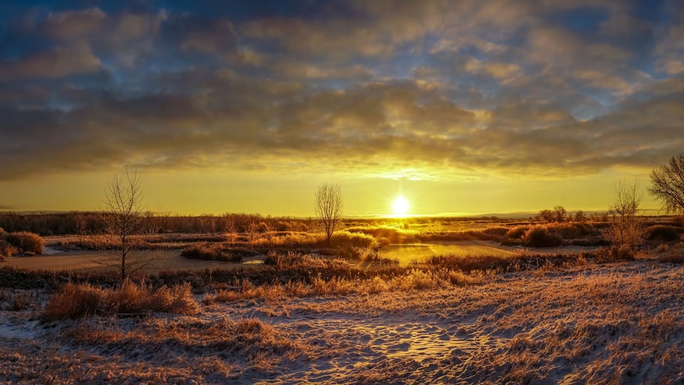 A sunset over a snowy landscape with a river and sparse trees.