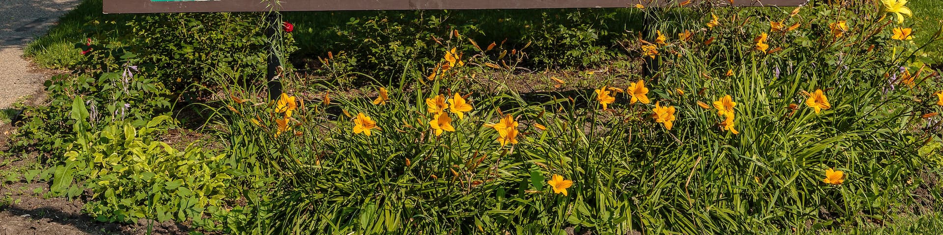 Thornton Park in Saskatoon, Saskatchewan