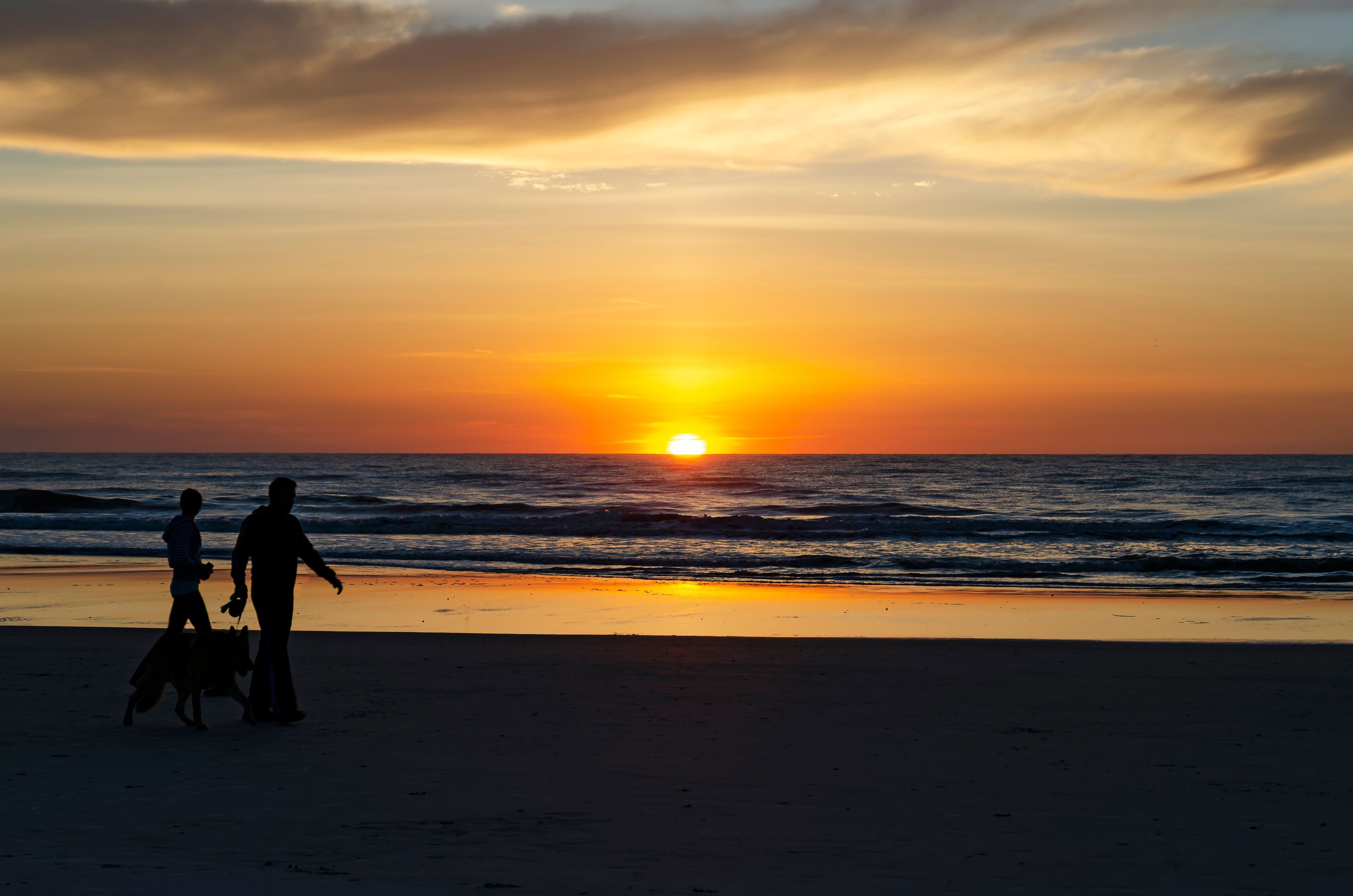 Jacksonville Beach Sunrise Dog Walk