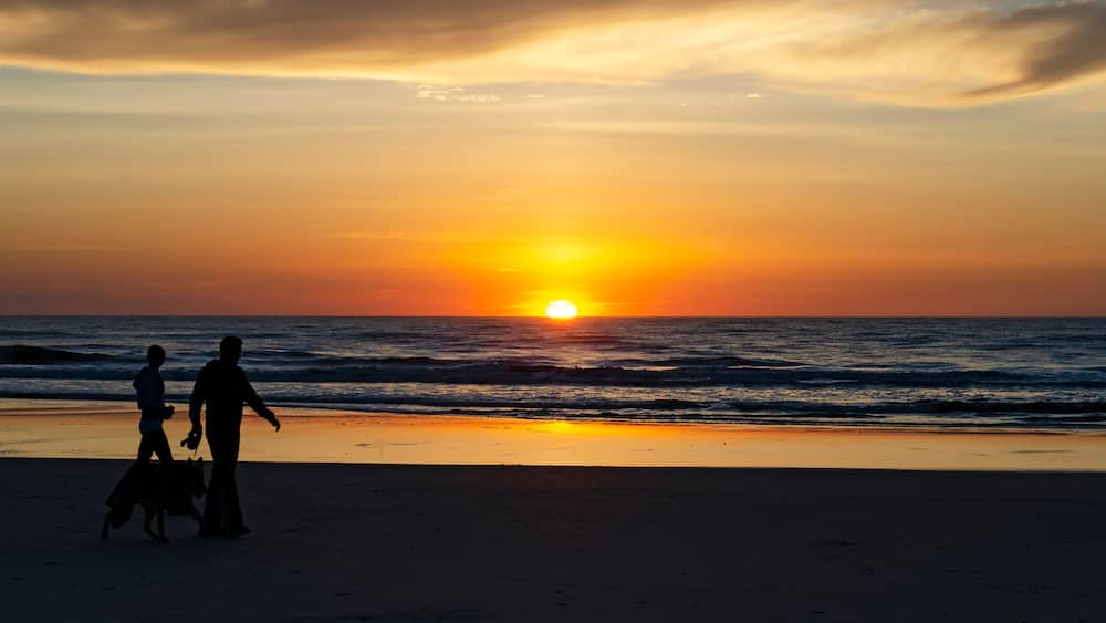A sunset over the ocean with silhouettes of people and a dog on the beach.
