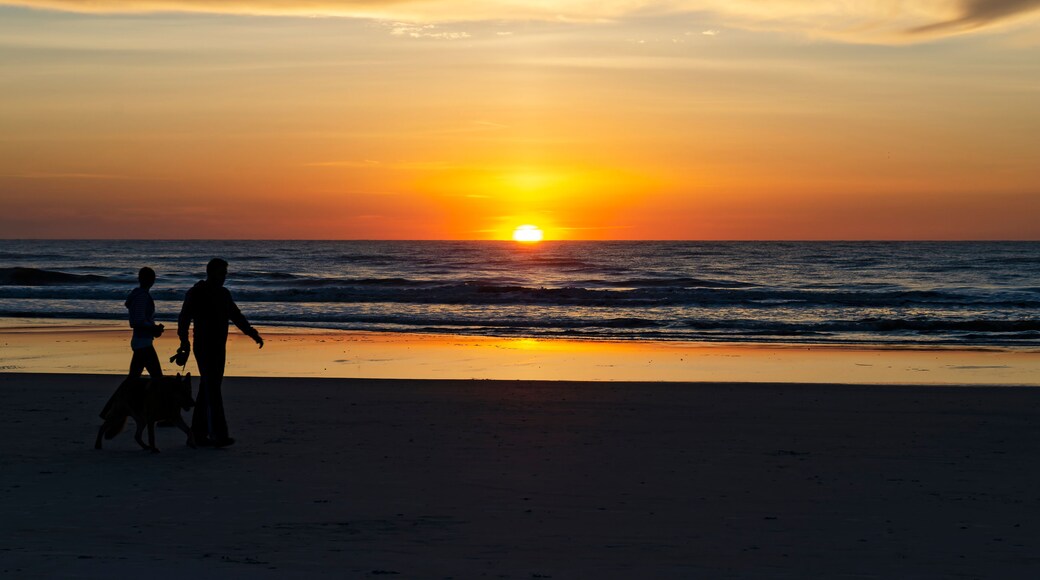 Jacksonville Beach Sunrise Dog Walk