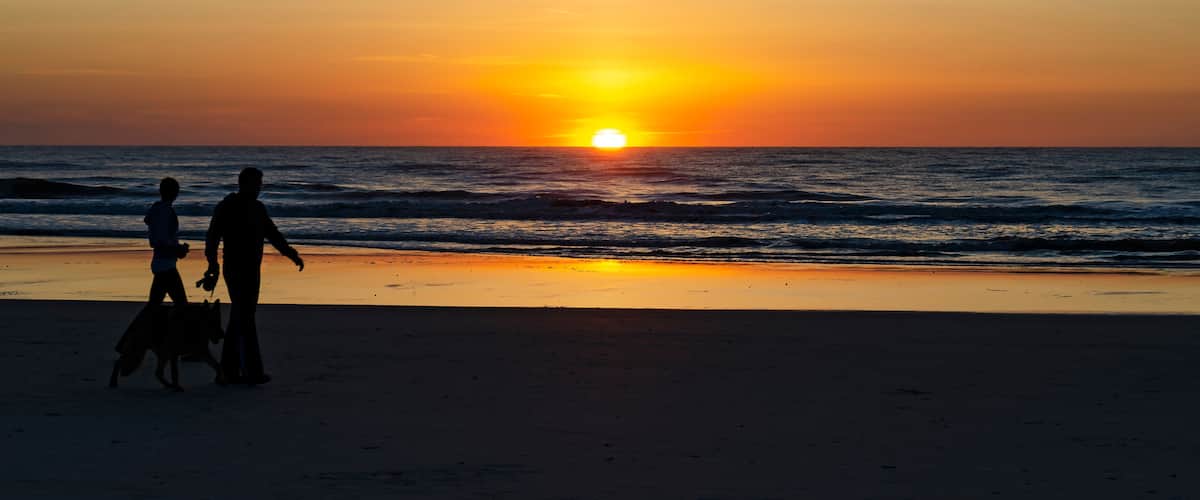 Atardecer sobre el océano con siluetas de personas y un perro en la playa.