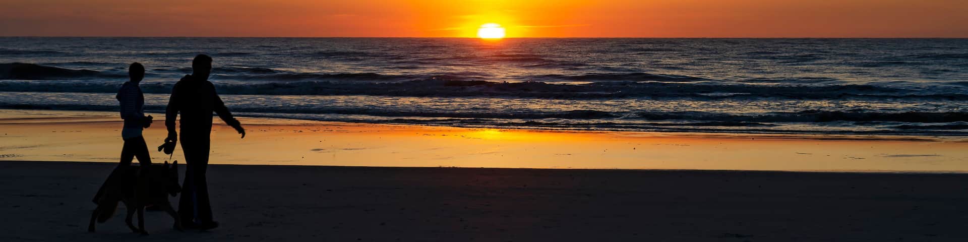 A sunset over the ocean with silhouettes of people and a dog on the beach.