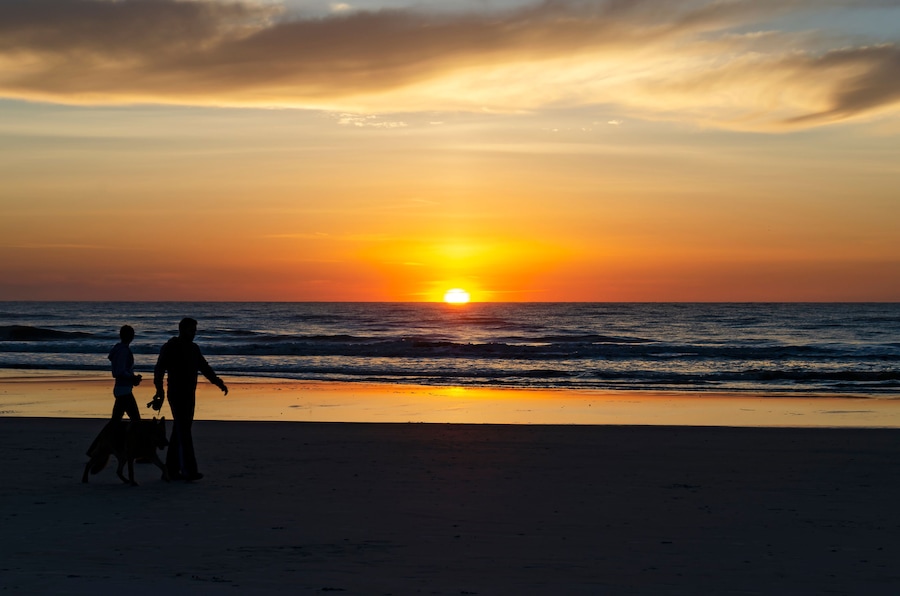 Um pôr do sol sobre o oceano com silhuetas de pessoas e um cão na praia.