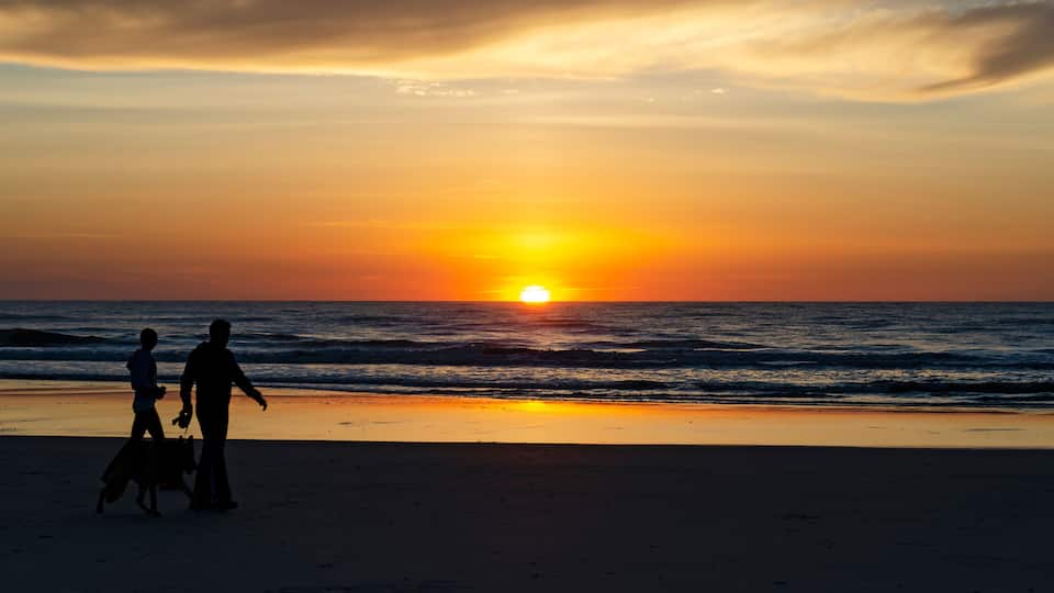A sunset over the ocean with silhouettes of people and a dog on the beach.