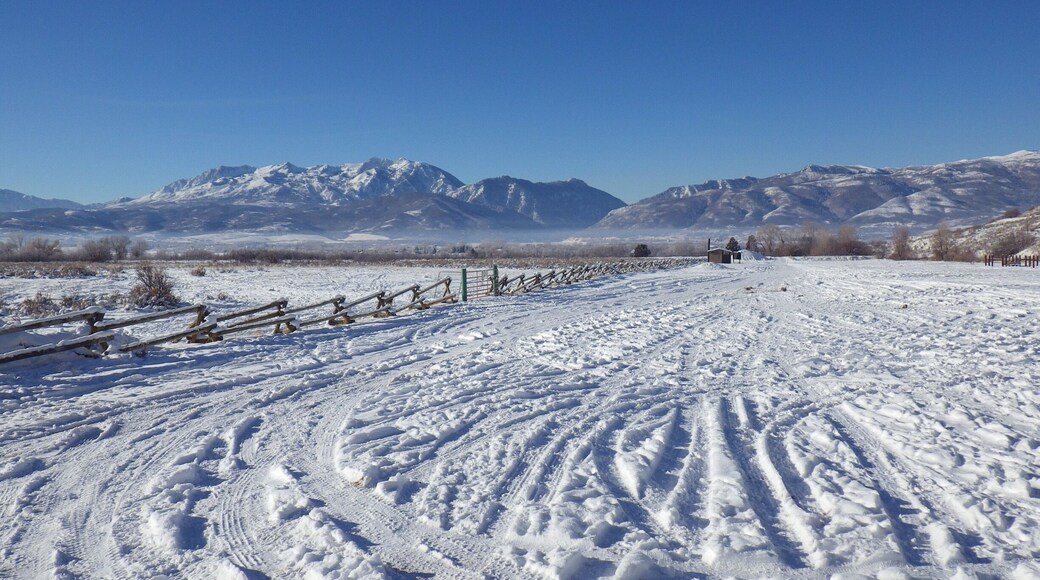 Small section of public land.