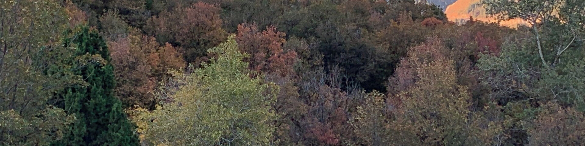 This was Eden, Utah just when the leaves on the trees started changing and the temperature was crisp. Loved it! #lifeatexpediagroup