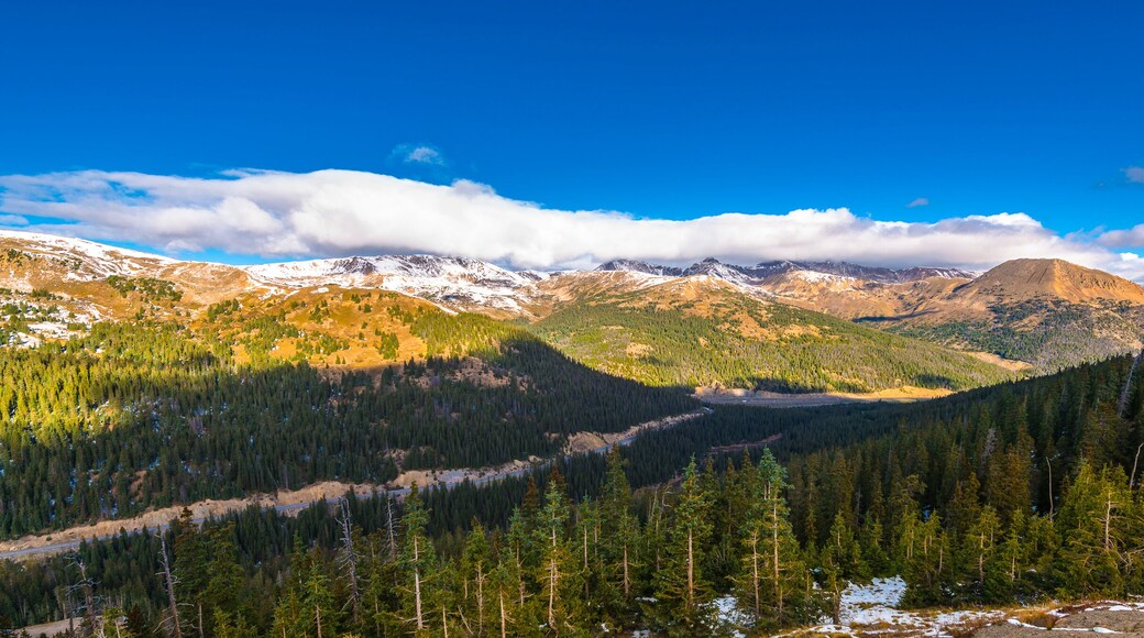 เลิฟแลนด์