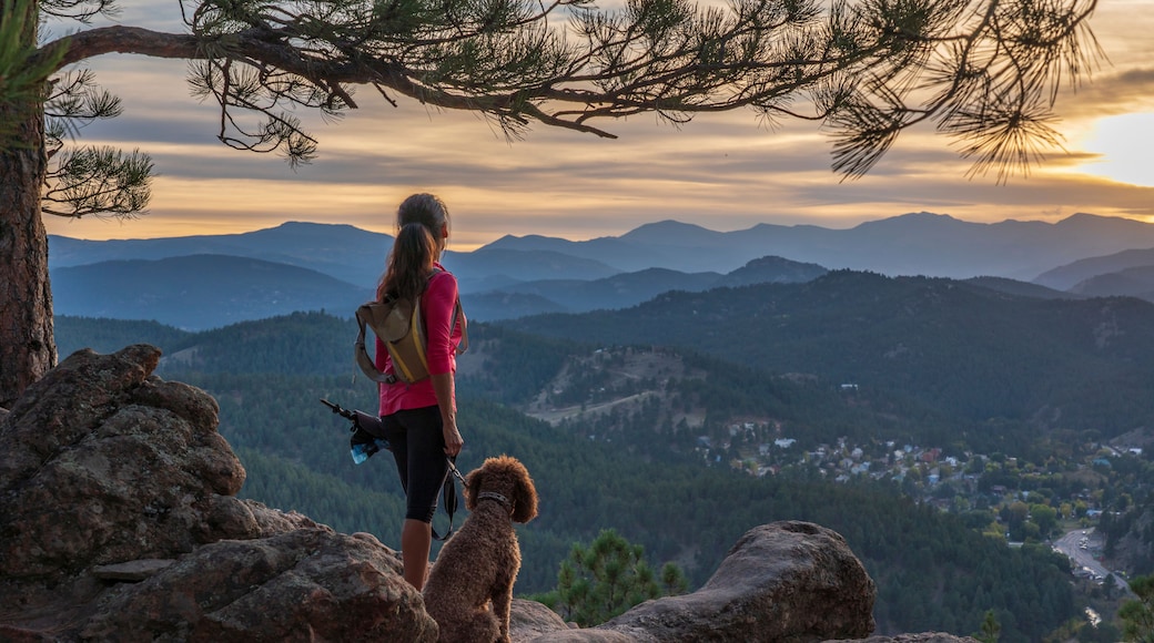 A hispanic woman is hiking with a dog, at sunset, in the Rocky Mountains near Denver, Colorado, USA