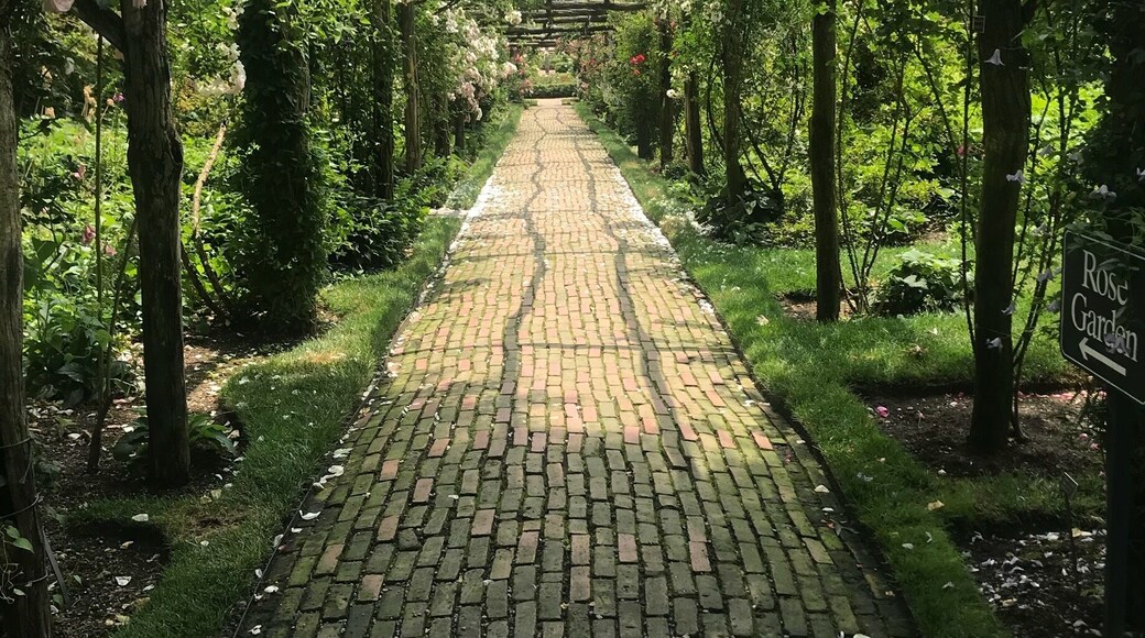 Rose Garden in Old Westbury Gardens, NY📍