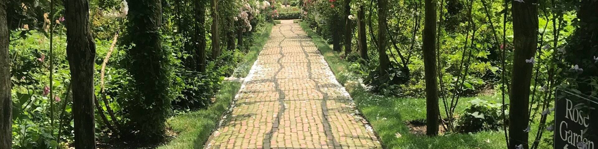 Rose Garden in Old Westbury Gardens, NY📍