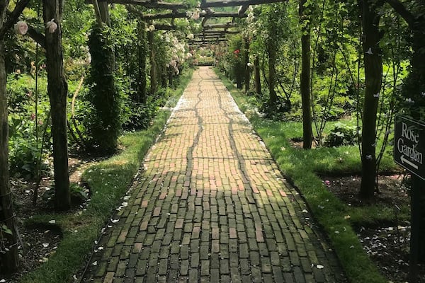 Rose Garden in Old Westbury Gardens, NYđ