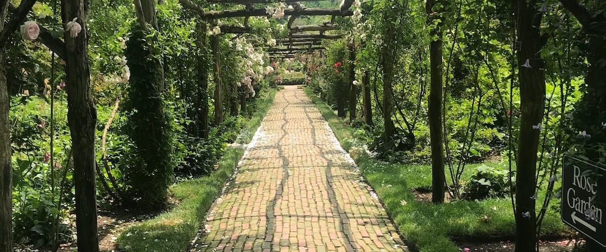 A brick pathway leading through a garden with a wooden pergola overhead.
