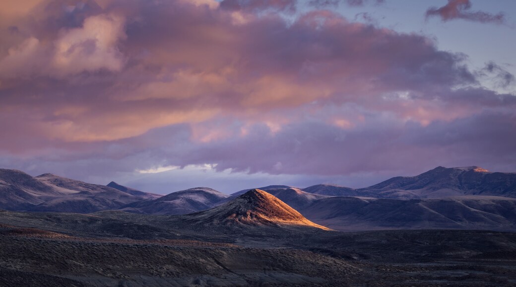 Fernley