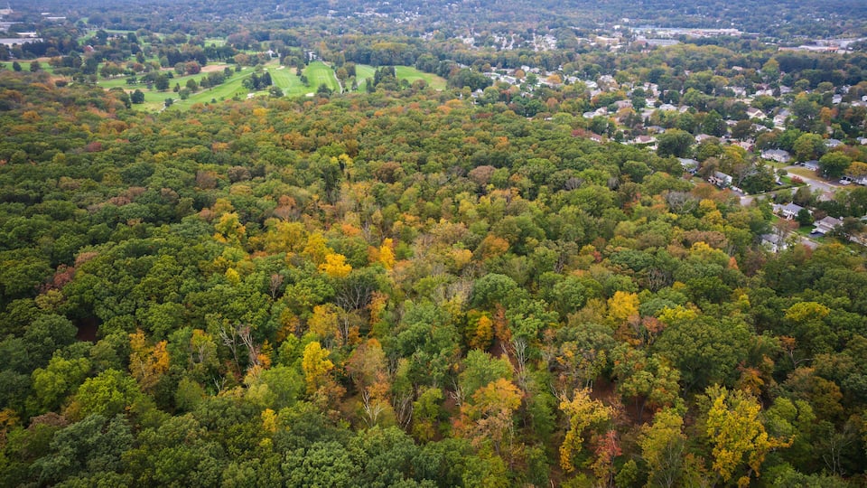 A dense forest with autumn foliage, a golf course, and residential areas in the background.