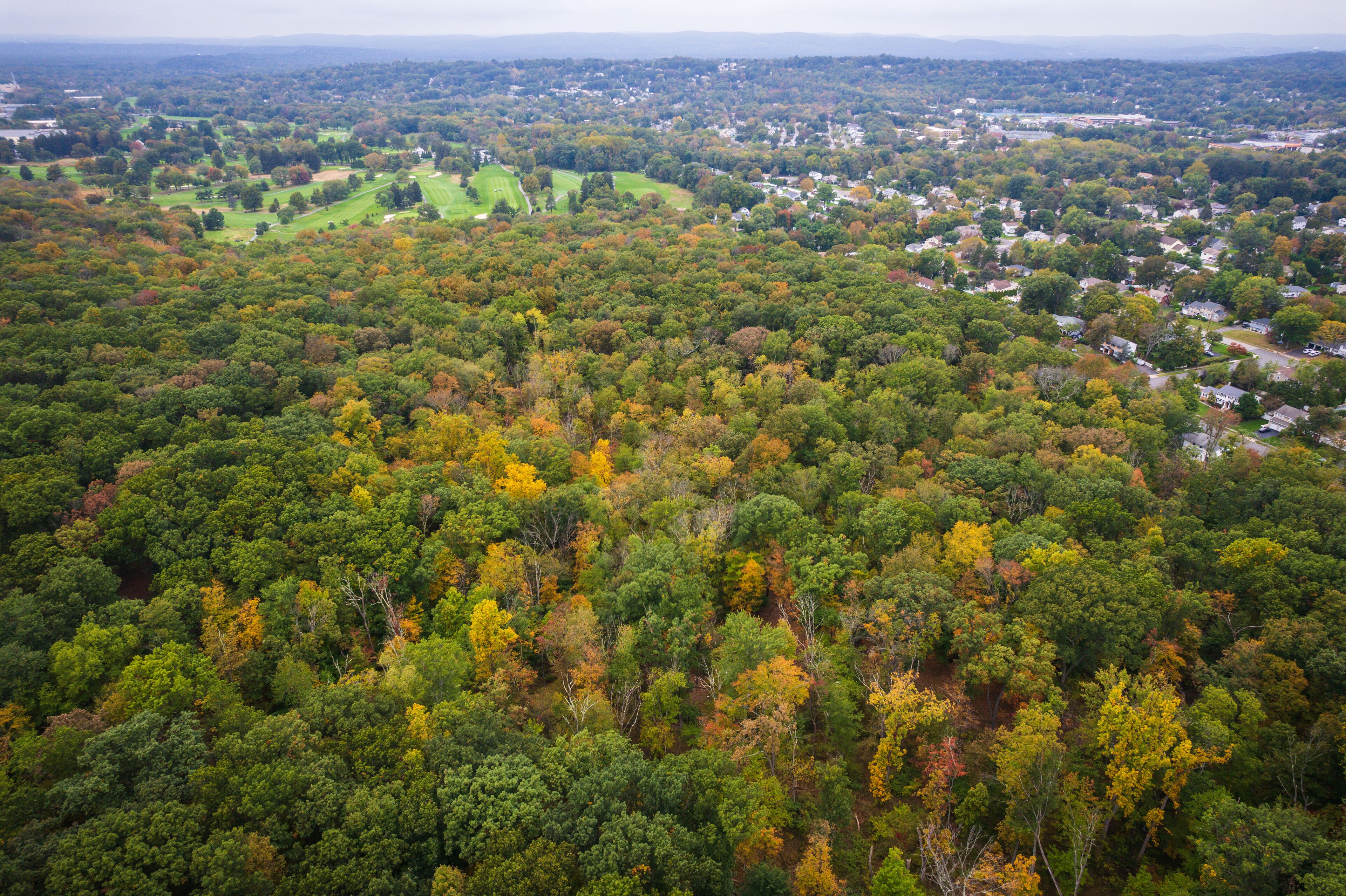 A dense forest with autumn foliage, a golf course, and residential areas in the background.