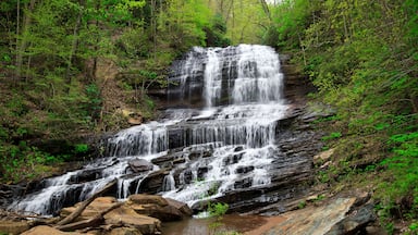 Pearson's Falls near Tryon North Carolina in the Spring