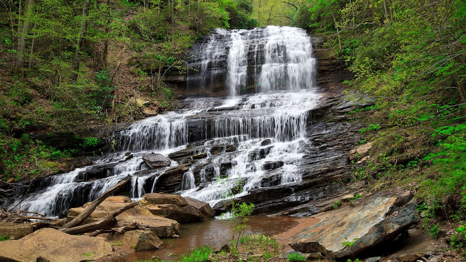 A multi-tiered waterfall surrounded by dense forest.