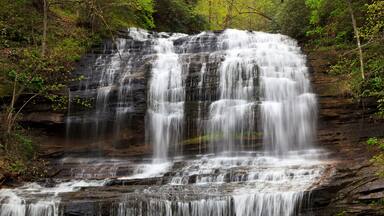 Pearson's Falls near Tryon North Carolina in the Spring