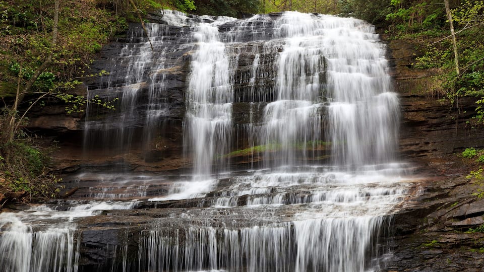 A multi-tiered waterfall surrounded by dense forest.