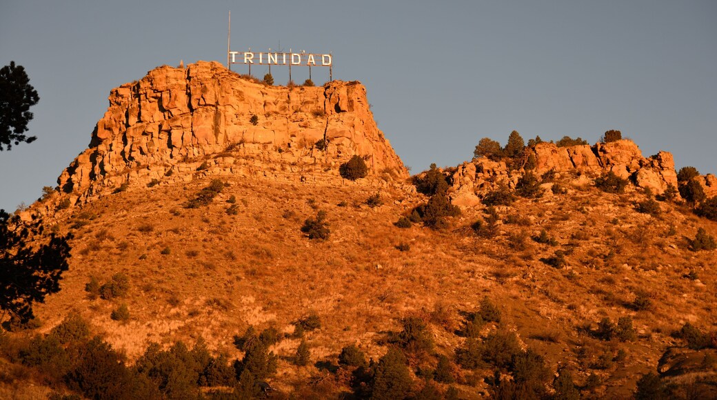 ํธ๋ฆฌ๋๋ค๋