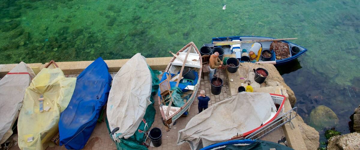 Taranto showing general coastal views as well as an individual male