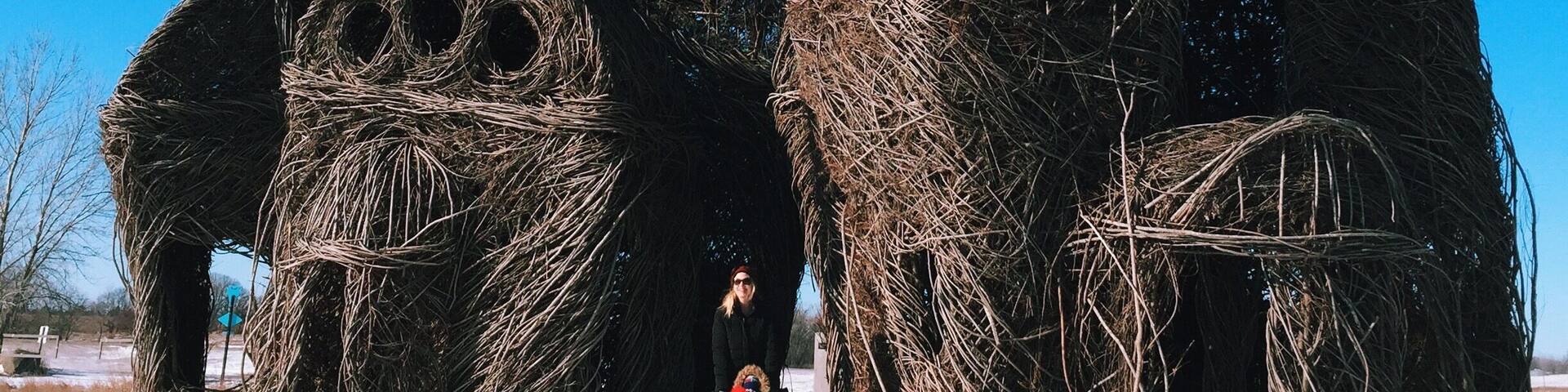 Public sculpture called "Lean On Me" is these 4 giant huts created with willow branches. Beautiful and amazing. About 1.5 hours from Minneapolis. Worth a visit before they are due for their scheduled removal. #snow