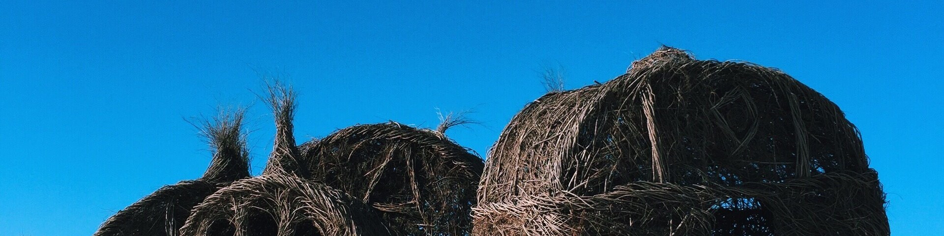 Public sculpture called "Lean On Me" is these 4 giant huts created with willow branches. Beautiful and amazing. About 1.5 hours from Minneapolis. Worth a visit before they are due for their scheduled removal. #snow