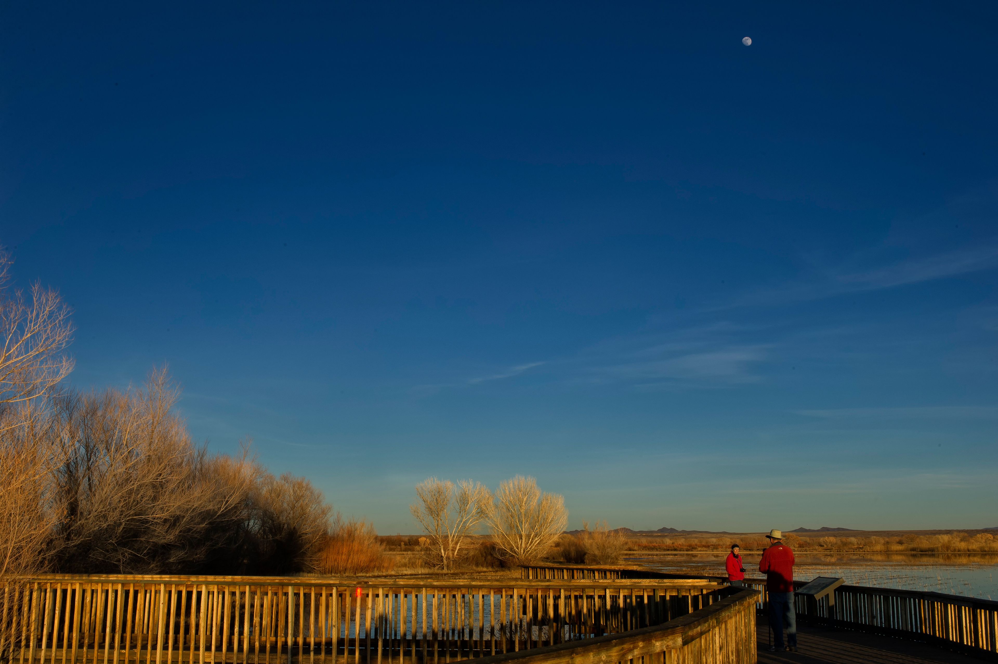 A wooden boardwalk by a body of water with leafless trees and a clear sky.
