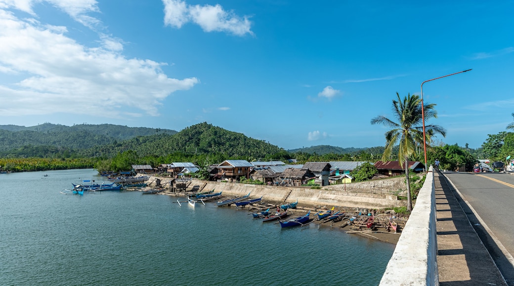 View and landscape of Mindanao Region, The Philippines, Lanuza area and Cortez.