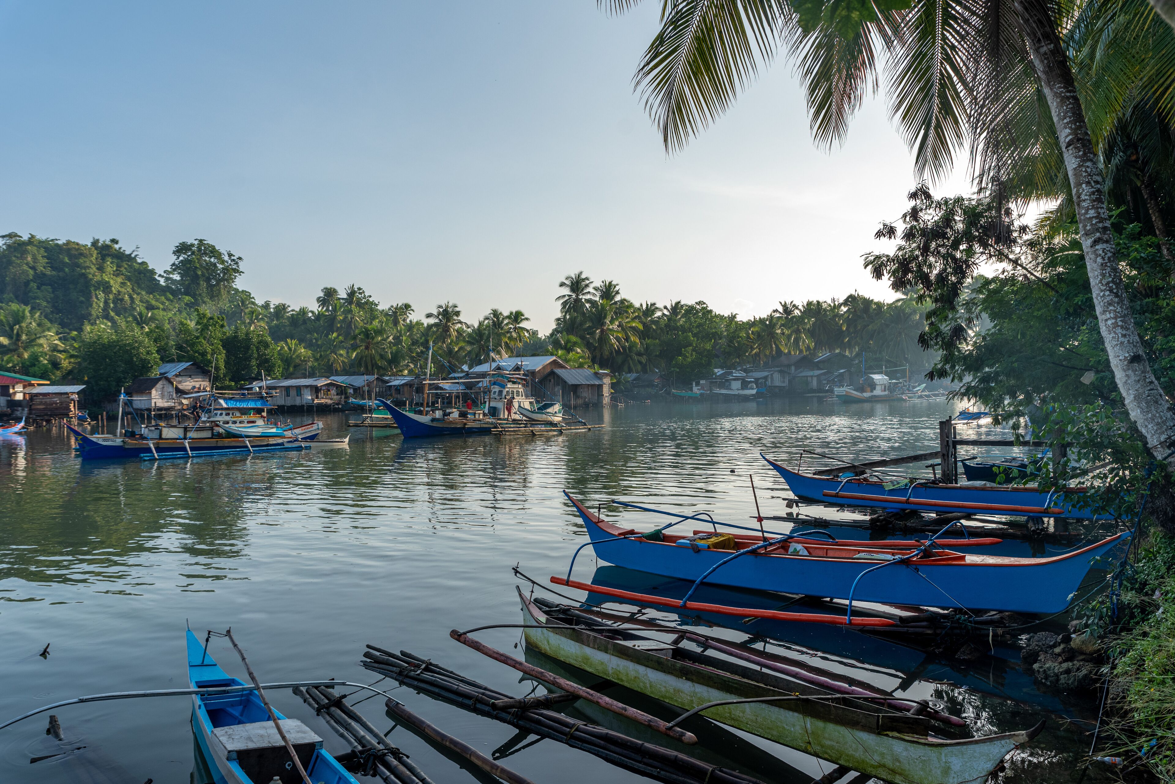 A calm river with several boats docked along the shore, surrounded by lush greenery and palm trees.