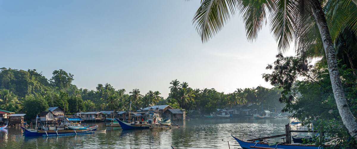 A calm river with several boats docked along the shore, surrounded by lush greenery and palm trees.