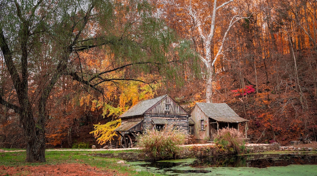 Beautiful autumn scene at Cuttalossa barn mill in Bucks County Pennsylvania with colorful fall foliage.