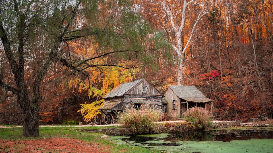 A rustic wooden house with a water wheel, surrounded by autumn-colored trees and a pond.