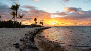 Striking sunrise viewed on a tropical sandy beach at the Atlantic Ocean Shore. Plantation Key, Florida Keys, Florida, United States.