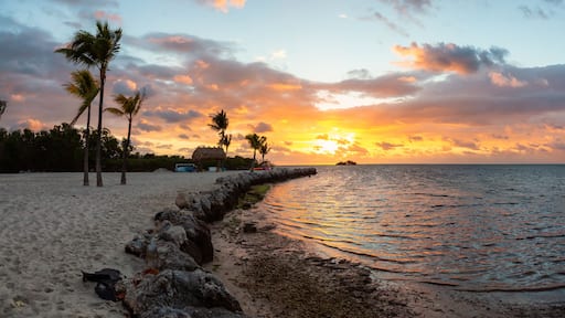Striking sunrise viewed on a tropical sandy beach at the Atlantic Ocean Shore. Plantation Key, Florida Keys, Florida, United States.