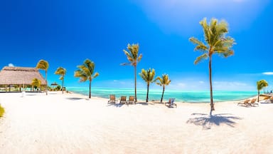 Florida Keys scenic white sand beach panoramci view, Marathon