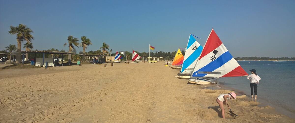 A sandy beach with several sailboats, palm trees, and a clear blue sky.