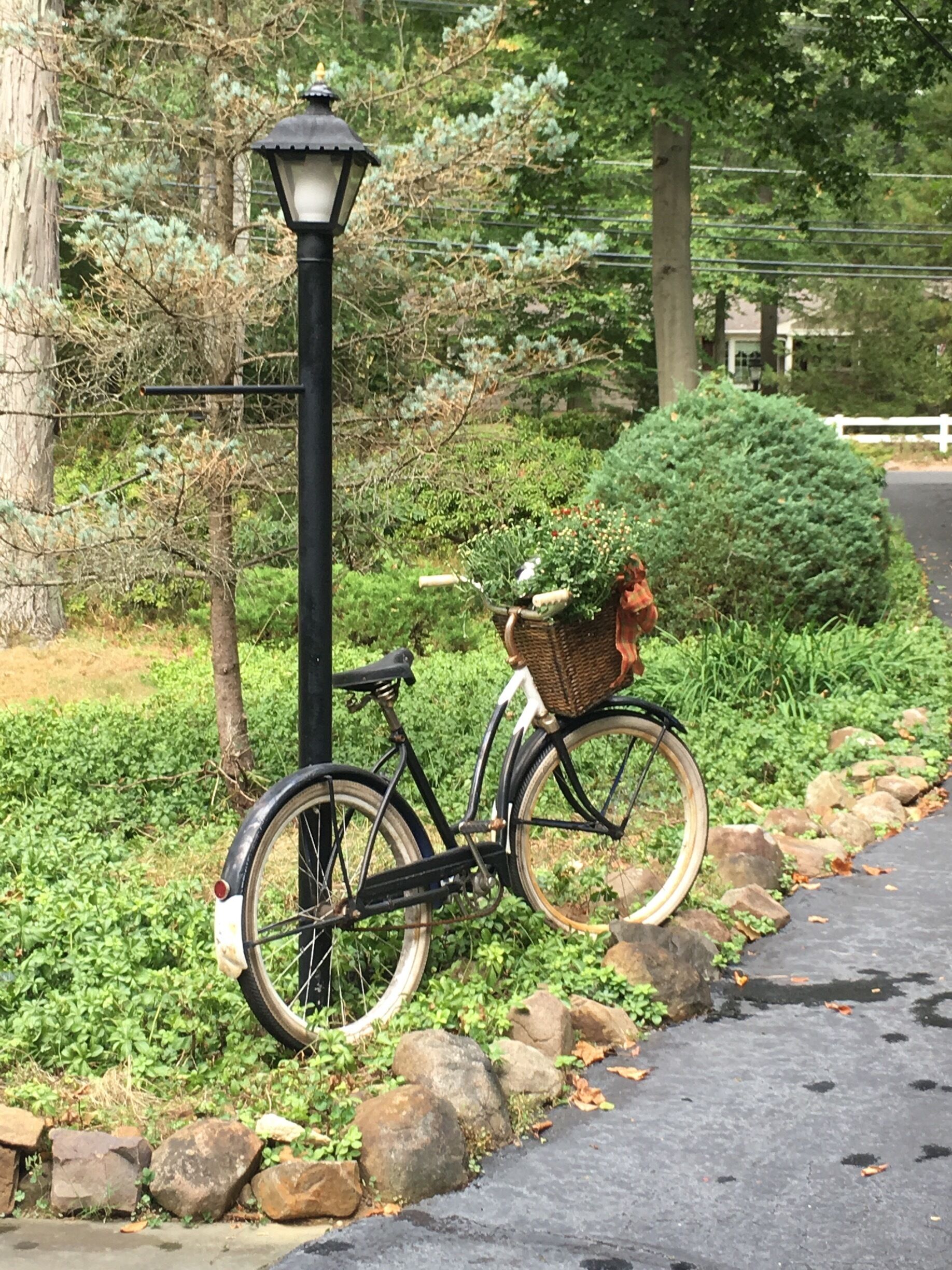 A bicycle with a basket and a lamp post in a park.