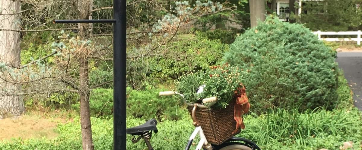 A bicycle with a basket and a lamp post in a park.