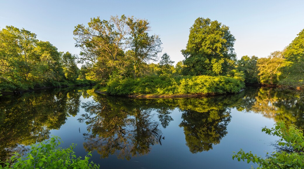 Early morning on the Taunton River at a Wildlands Trust preserve in Raynham, Massachusetts.