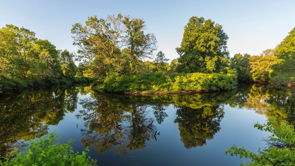 A calm river surrounded by dense green foliage and trees reflecting in the water.