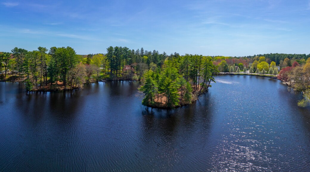 Raynham