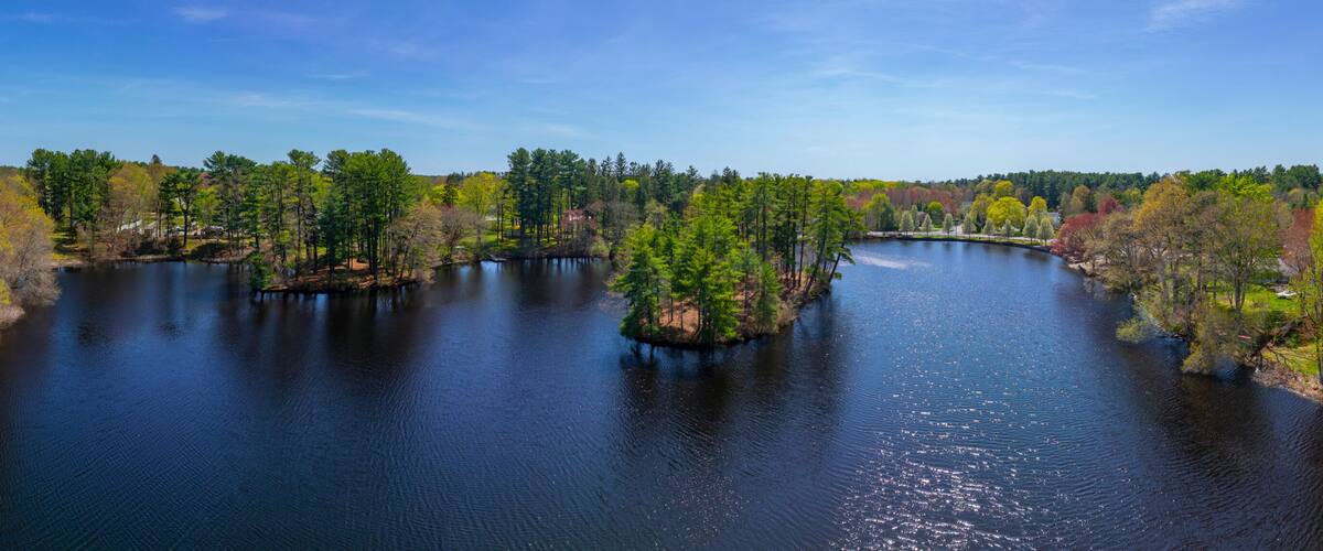 A river surrounded by dense forest and a clear blue sky.