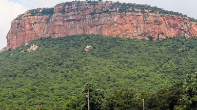 Rocky Hill on the Top of Trees and Greenery Below at Tirupati India Landscape