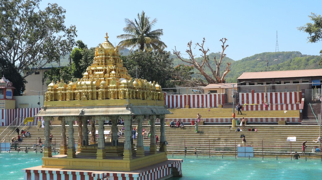 Pushkarini Kunda, Tirupati. A sacred lake near the Balaji temple on Mount Tirumala.