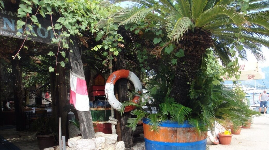 Around the bays of Kotor